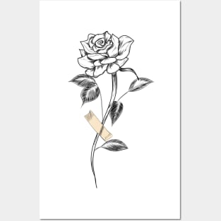 A rose Posters and Art